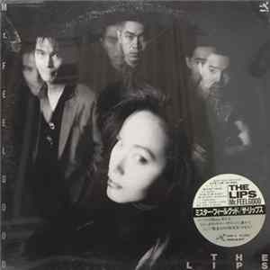Download The Lips - Mr. Feelgood