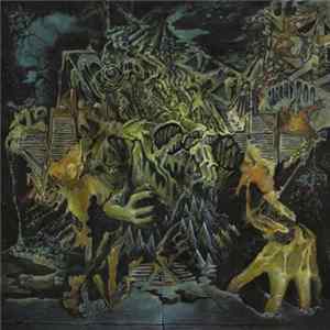 Download King Gizzard And The Lizard Wizard - Murder Of The Universe