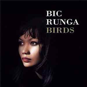 Download Bic Runga - Birds
