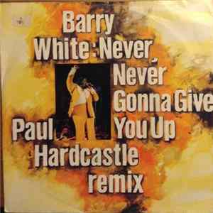 Download Barry White - Never, Never Gonna Give You Up (Paul Hardcastle Remix)