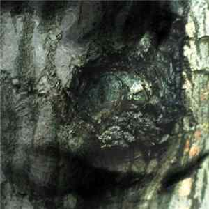 Download Yann Tiersen - The Waltz Of The Monsters