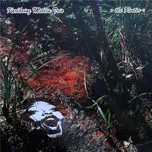 Download Karlheinz Miklin Trio - The Rooter