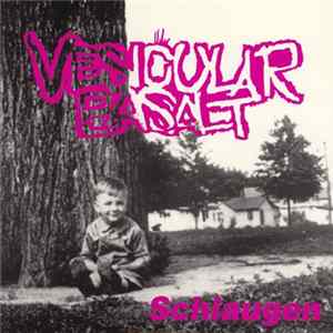 Download Vesicular Basalt - Schlaugen