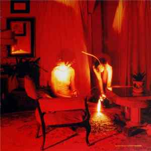 Download Kammerflimmer Kollektief - Cicadidae