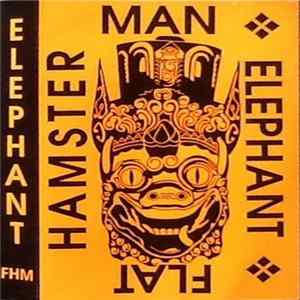 Download Flat Hamster Man - Elephant