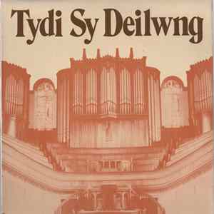 Download Various - Cymanfa Ganu Gwyl Gyhoeddi Eisteddfod Frenhinol Abertawe A'r Cylch 1982