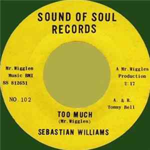 Download Sebastian Williams - Too Much / Home Town Boy