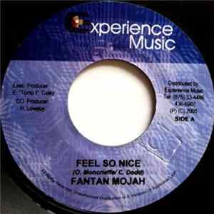 Download Fantan Mojah - Feel So Nice