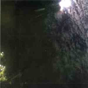 Download Maurizio Bianchi - The Bowls Of Anger