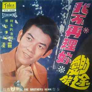 Download 凌震 - 我不再理妳 愛的旅途 (Vol 14)