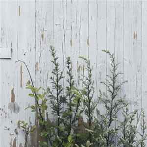 Download Never Sol / Meeting By Chance - Sever / Four Days