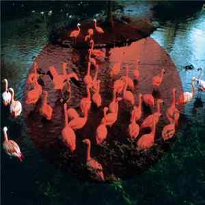 Download Women / Cold Pumas / Fair Ohs / Friendo - Split