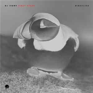 Download DJ Ivory - First Stage