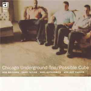 Download Chicago Underground Trio - Possible Cube
