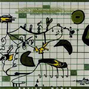 Download Ravish Momin - Sound Dissolving Sound