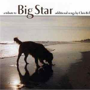 Download Various - A Tribute To Big Star (Additional Songs By Chris Bell)