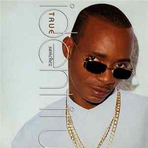 Download Sanchez - True Identity