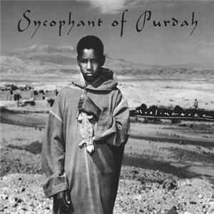 Download Muslimgauze - Sycophant Of Purdah