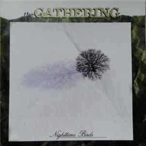 Download The Gathering - Nighttime Birds