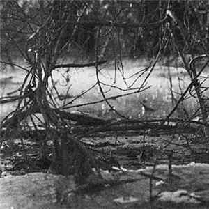 Download Gyrshelun - Dismal