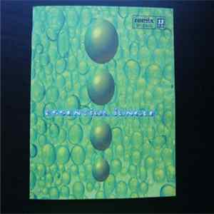 Download Various - Remix Trax Vol. 13 - Essential Jungle