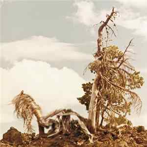 Download People Of The North - Steep Formations