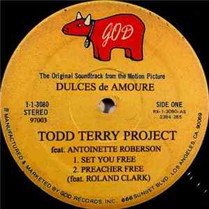 Download The Todd Terry Project - Set You Free