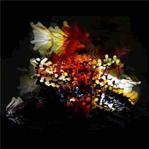 Download Bogus Order - The Bullnose Step EP