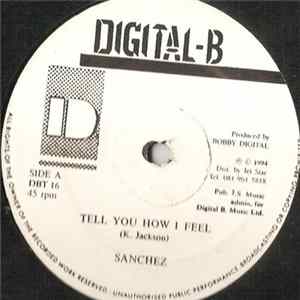 Download Sanchez / Sanchez & Terror Fabulous - Tell You How I Feel