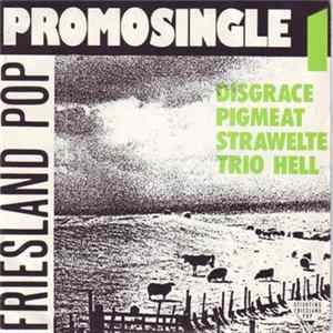 Download Various - Friesland Pop Promosingle 1