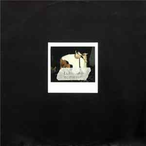 Download Lloyd Cole - Butterfly