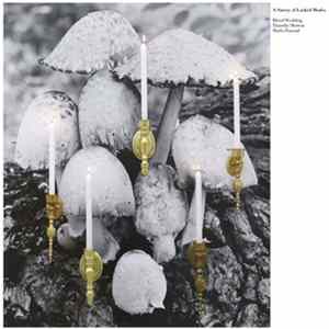 Download Blood Wedding, Timothy Morton, Marlo Pascual - A Survey Of Locked Modes