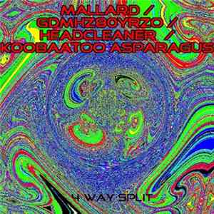 Download Mallard / GDMHZ80YRZO / Headcleaner / Koobaatoo Asparagus - 4 Way Split