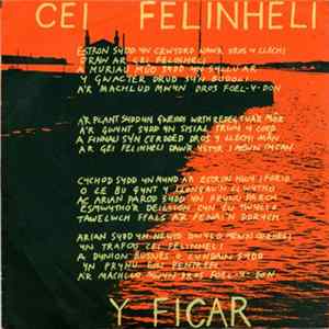 Download Y Ficar - Cei Felinheli