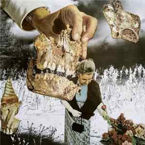 Download Decent Criminal - Bloom
