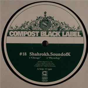 Download Shahrokh.SoundofK - Chicago