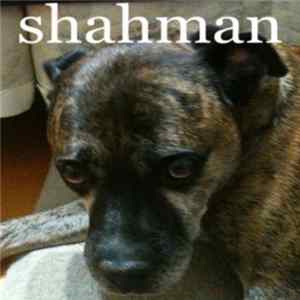 Download Shahman - Shahman