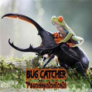 Download Bug Catcher / Pseudopaludicola - Insectamphibia