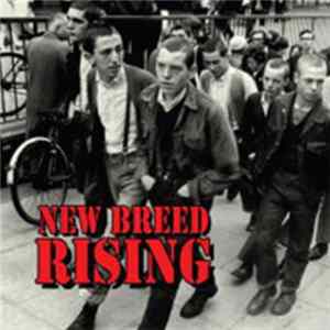 Download Various - New Breed Rising