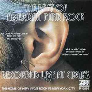 Download Various - The Best Of American Punk Rock Recorded Live At CBGB´s