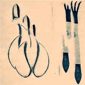 Download Downer Canada - Hieronsong