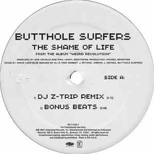 Download Butthole Surfers - The Shame Of Life